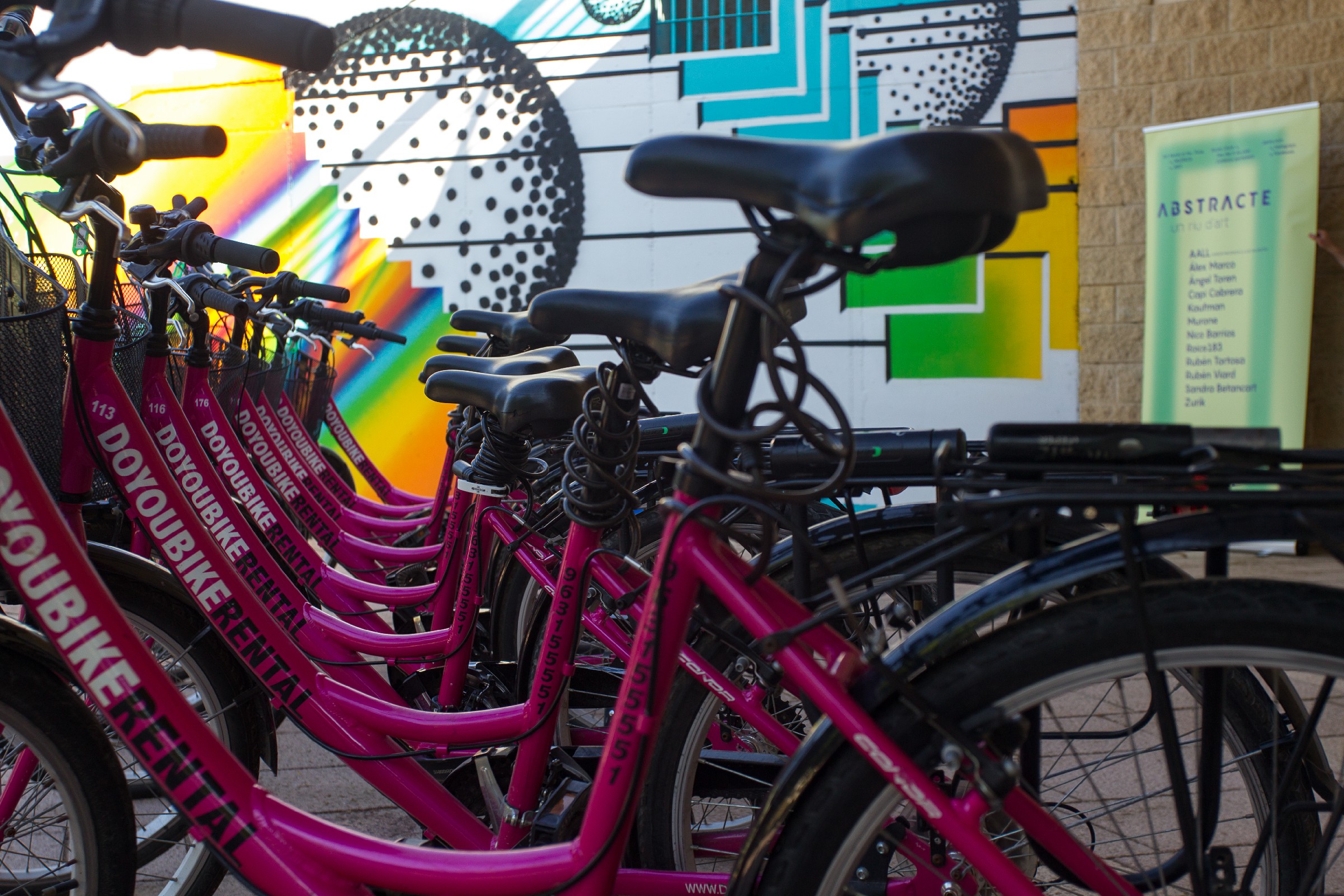 Zedre Art & Bikes